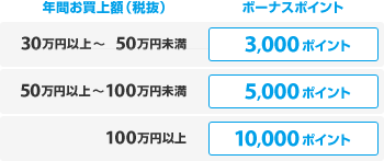 年間お買上額(税抜)30万円以上～50万円未満でボーナスポイント3,000ポイント 年間お買上額(税抜)50万円以上～100万円未満でボーナスポイント5,000ポイント 年間お買上額(税抜)100万円以上でボーナスポイント10,000ポイント